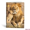 Füzet kockás LIPAMILL A/4 40 lapos King of lions