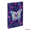 Füzetbox OXY A/4 Butterfly