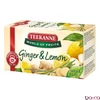 Gyümölcstea TEEKANNE World of Fruits gyömbér-citrom 20x2,5 g