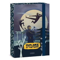 Füzetbox ARS UNA A/4 Ninjas In The Dark