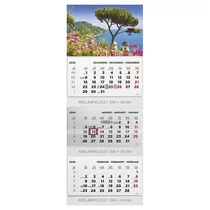 Speditőr naptár TOPTIMER T070 3 tömbös 3 havi Táj 2026.