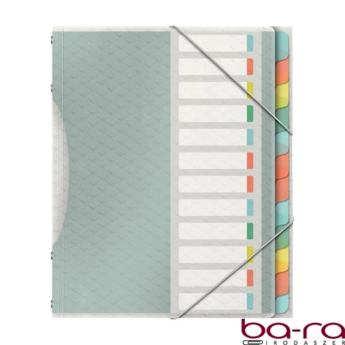 Előrendező ESSELTE Colour Breeze A/4 PP 12 részes