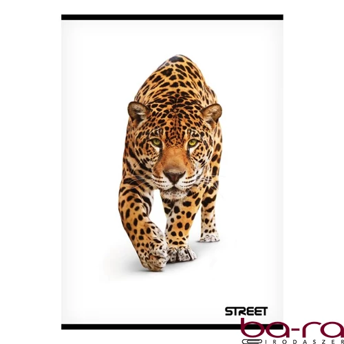 Füzet sima STREET A/5 54 lapos Safari