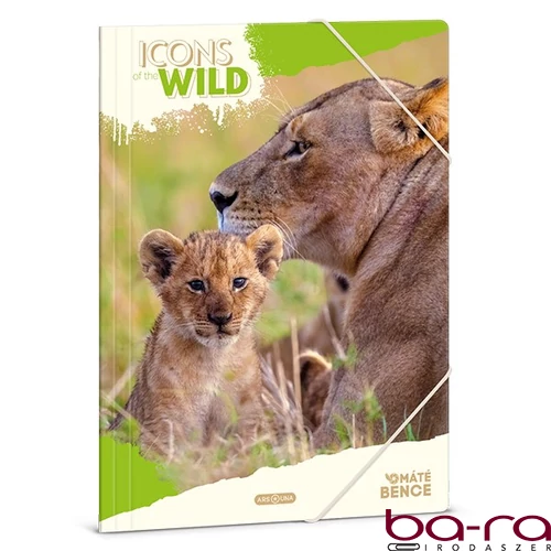 Gumis mappa ARS UNA A/4 Icons of the Wild-Lions