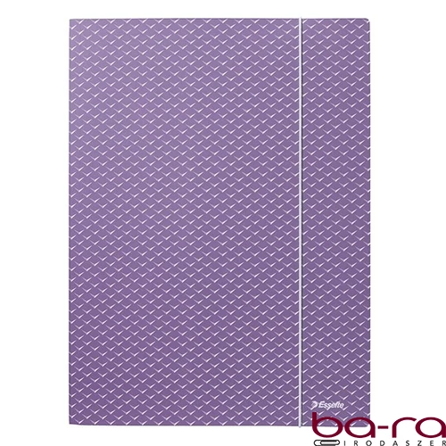 Gumis mappa ESSELTE Colour Breeze A/4 karton levendula