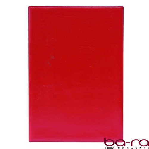 Gyurmatábla A/4 PVC
