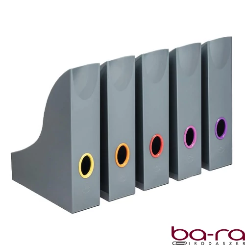 Iratpapucs szett DURABLE Variocolor A/4 5 darabos