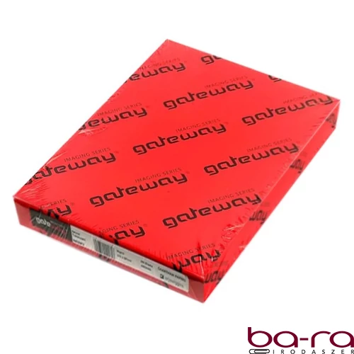 Pausz íves REFLEX A/4 90 g 250 íves