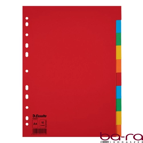 Regiszter ESSELTE A/4 karton 10 részes