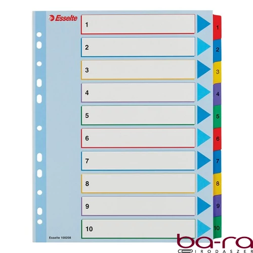 Regiszter ESSELTE A/4 maxi laminált karton újraírható 1-10