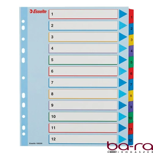 Regiszter ESSELTE A/4 maxi laminált karton újraírható 1-12