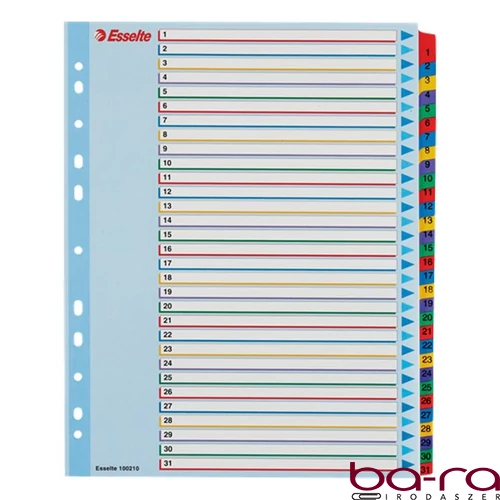 Regiszter ESSELTE A/4 maxi laminált karton újraírható 1-31
