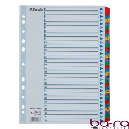 Regiszter ESSELTE Mylar A/4 laminált karton 1-31