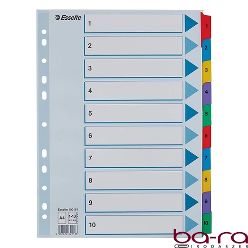 Regiszter ESSELTE Mylar A/4 laminált karton 1-10