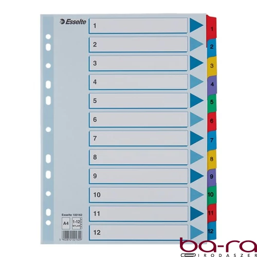 Regiszter ESSELTE Mylar A/4 laminált karton 1-12