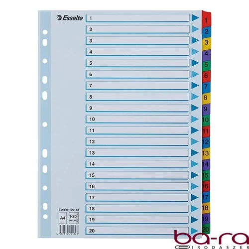 Regiszter ESSELTE Mylar A/4 laminált karton 1-20