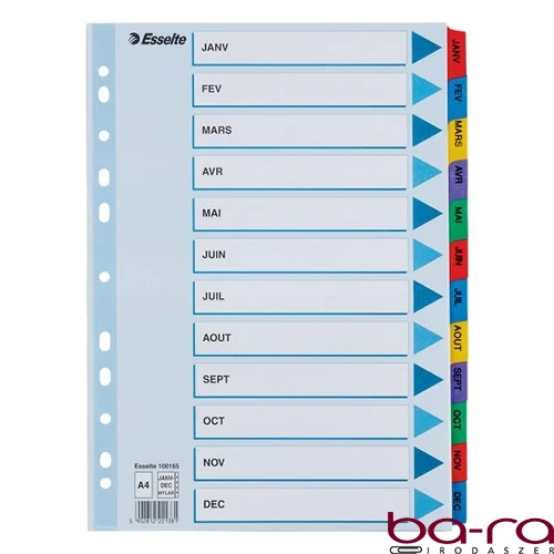 Regiszter ESSELTE Mylar A/4 laminált karton Jan-Dec