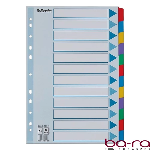 Regiszter ESSELTE Mylar A/4 laminált karton 12 részes