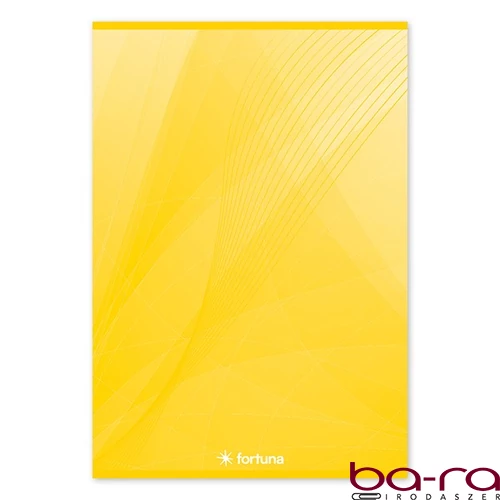 Spirálfüzet franciakockás FORTUNA Basic A/4 70 lapos