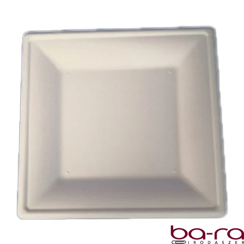 Szögletes eldobható papírtányér  KOMP cukornád lebomló 20x20 cm natúr 50 darabos